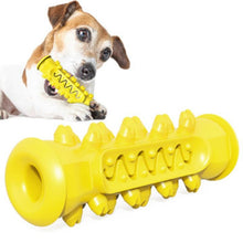 Chewing Toy - Zoomies