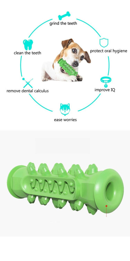 Chewing Toy - Zoomies