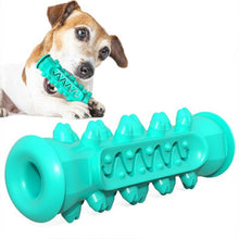 Chewing Toy - Zoomies