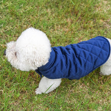 Dogs Winter Warm Vest - Zoomies