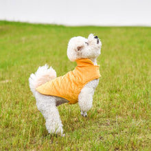 Dogs Winter Warm Vest - Zoomies