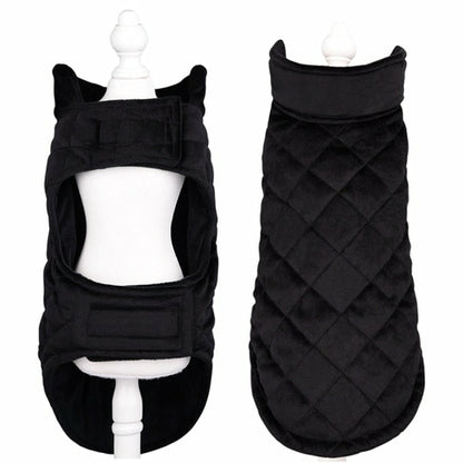 Dogs Winter Warm Vest - Zoomies