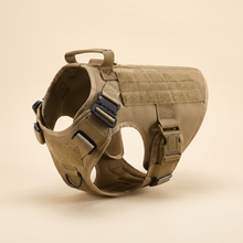 Tactical dog harness included in the Everyday Walk Kit