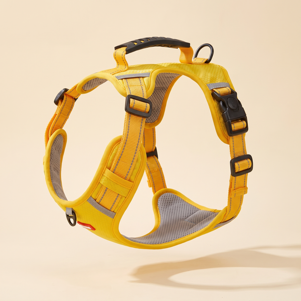 No-pull padded harness with control handle, yellow — studio photo