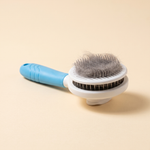 self-cleaning slicker grooming brush, no hands — studio product photo