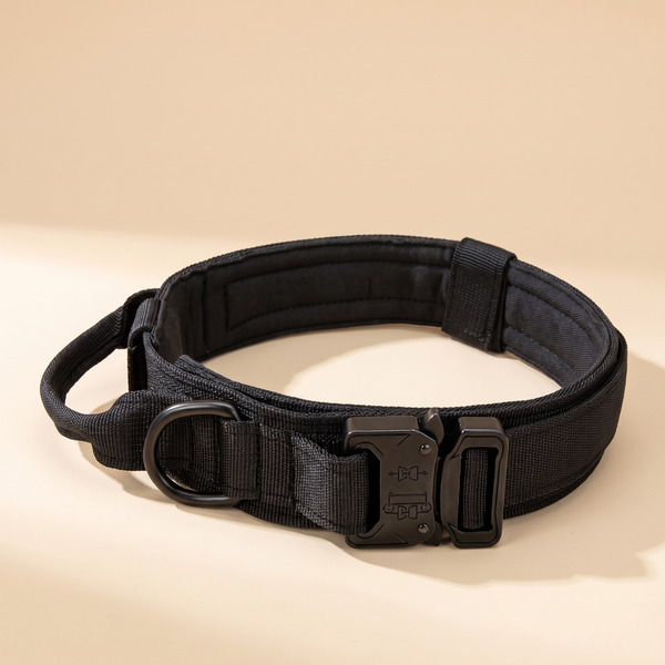 military heavy-duty tactical dog collar with handle, no dogs — studio product photo