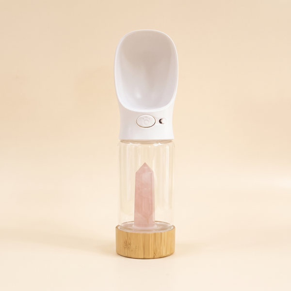 crystal-infused glass pet water bottle — studio product photo