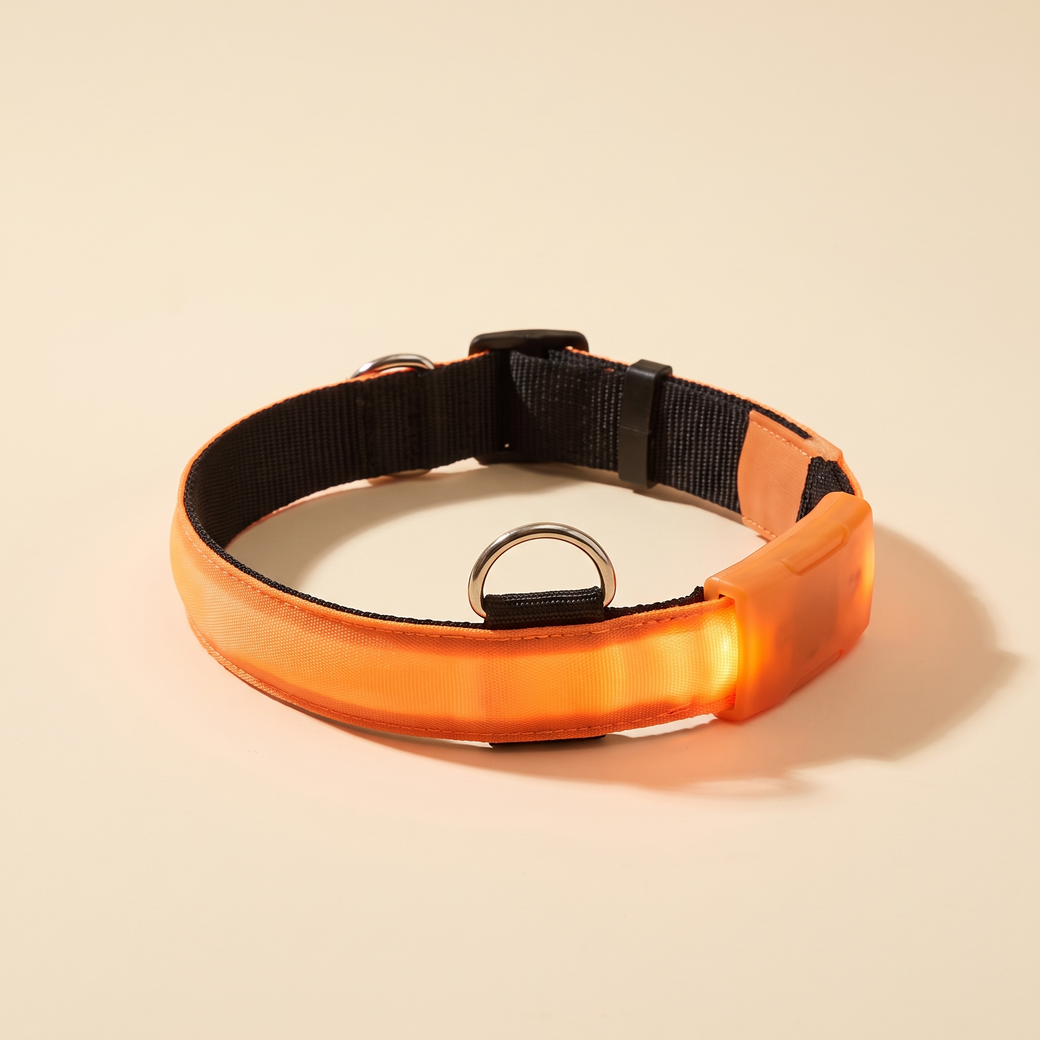 USB rechargeable LED glow pet collar, one collar glowing softly — studio product photo